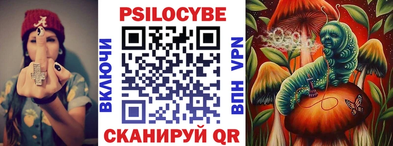 где купить наркоту  Амурск  Псилоцибиновые грибы прущие грибы 